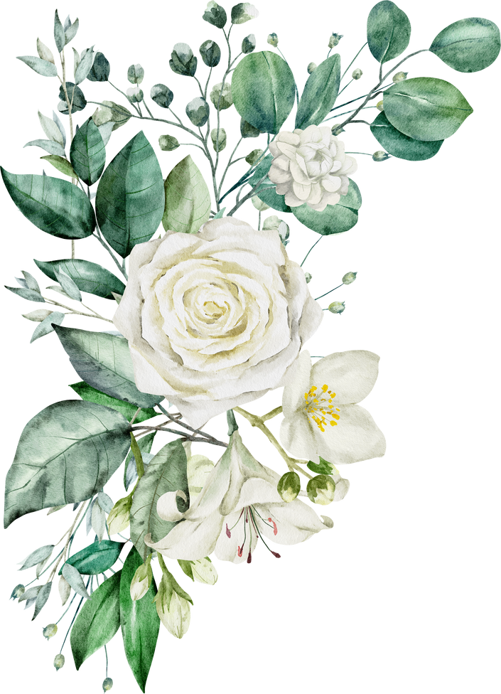 Green leaves and white rose watercolor